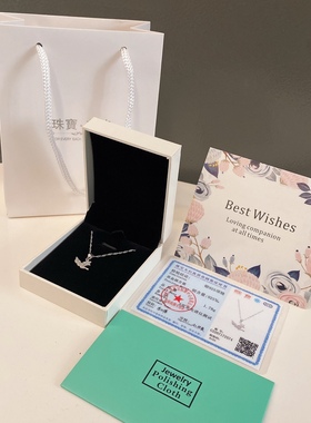 橄榄枝领花项链送军嫂女友创意情人节圣诞生日礼物饰品s925银项链