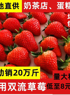 云南草莓新鲜烘焙奶茶蛋糕商用