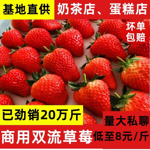 云南草莓新鲜烘焙奶茶蛋糕商用