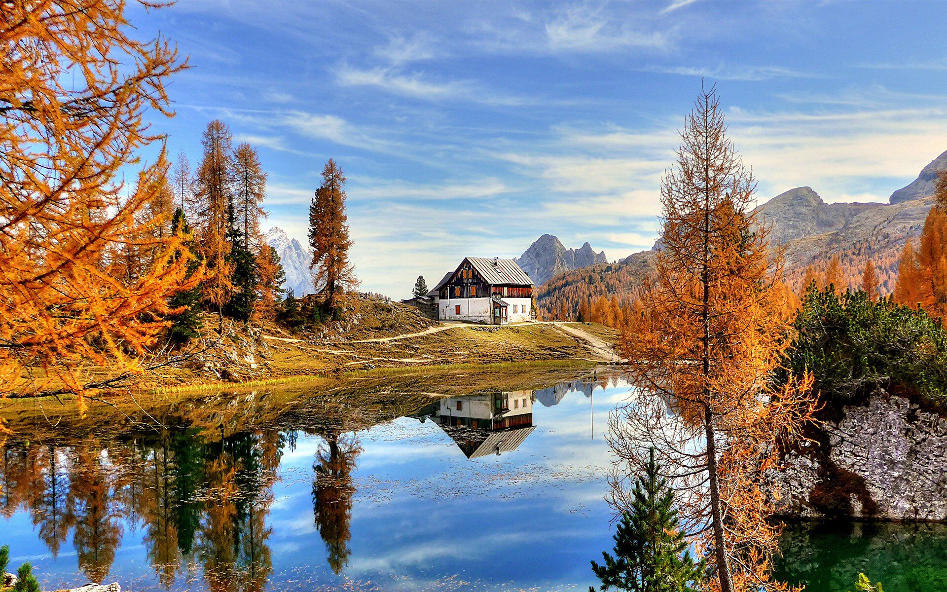 undefined1 Cents Package lovely Funny animals 0.1 automatic Deliver goods chat 0.01 wallpaperundefinedin the Web store voucher/Coupon , Web store vouchers  category - from Buy2taobao.com to provide professional Taobao agent buy service