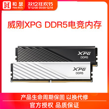 威刚XPG威龙D300 16G 32G DDR5 6000/6400 台式机电脑马甲内存条