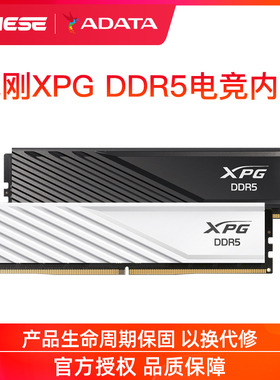 威刚XPG威龙D300 16G 32G DDR5 6000/6400 台式机电脑马甲内存条