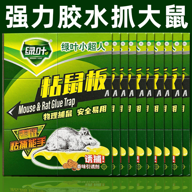 老鼠粘强力粘鼠板加大加厚捕鼠