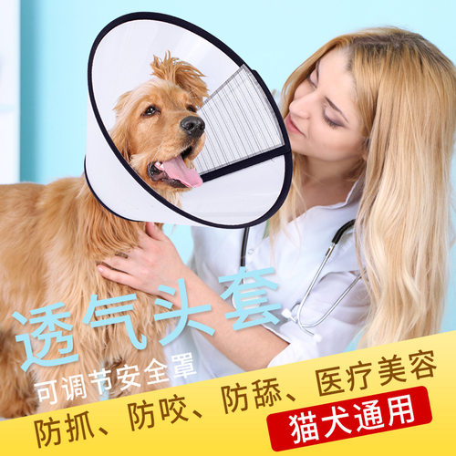 伊丽莎白狗头套猫咪脖圈防咬抓挠
