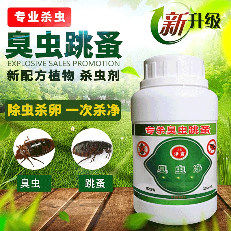 杀臭虫药跳蚤药家用吸血虫床虱子木虱专用臭虫药蜱虫克星宿舍神器