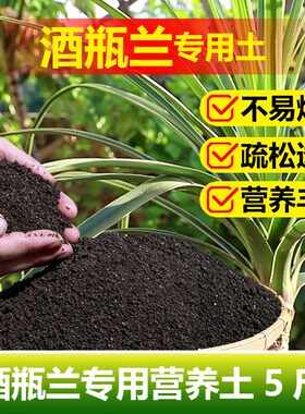 酒瓶兰专用土料酒瓶吊兰绿植物营养土生根发根发芽长高长种植家用