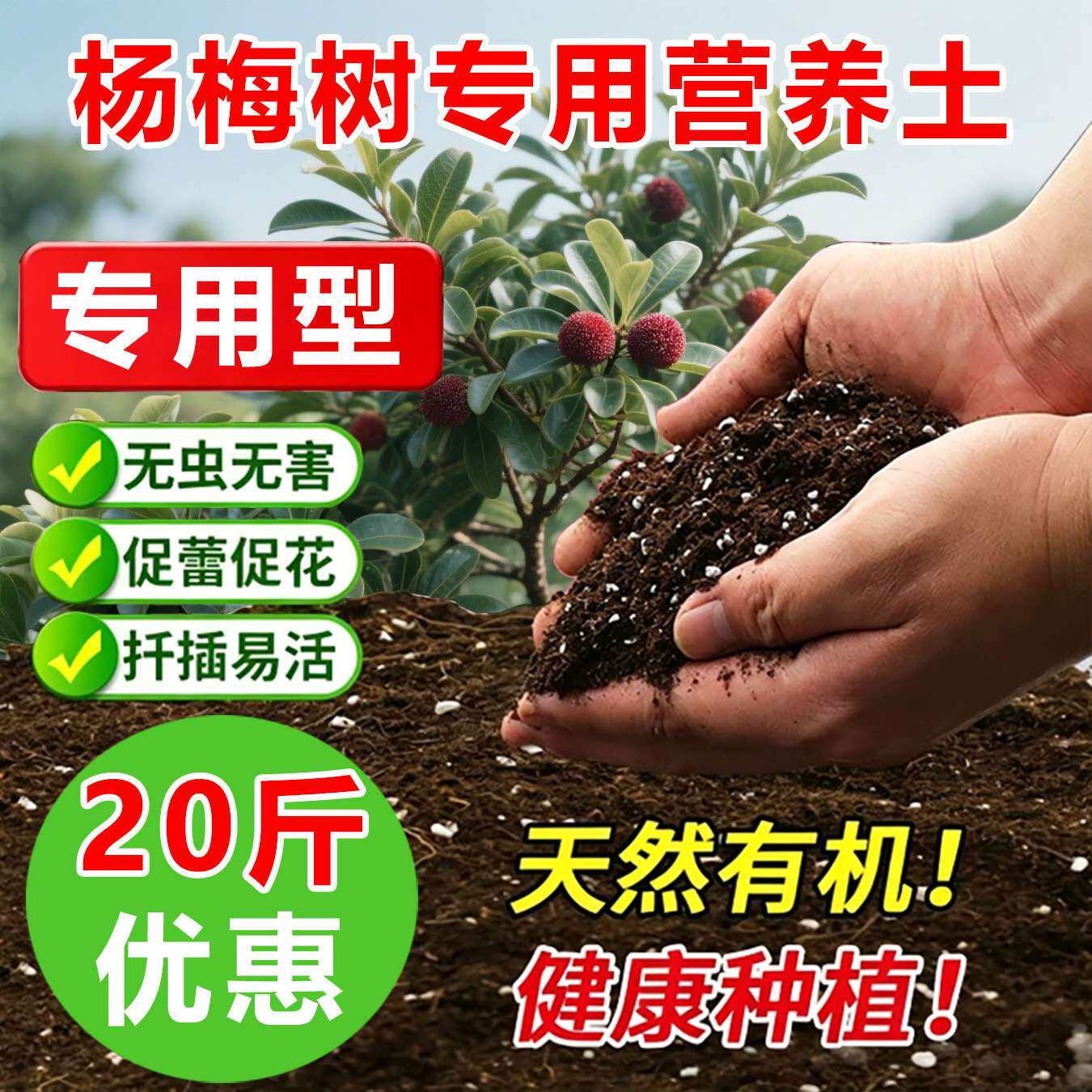 杨梅专用土料种植杨梅树营养土开花保花保果结果挫果增产增收家用