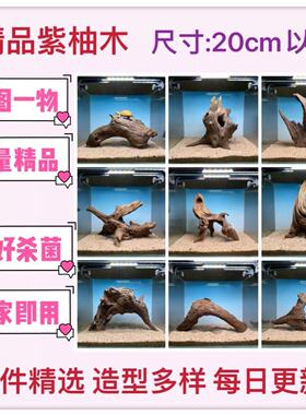 沉木造景20cm以内小号鱼缸造景水草缸紫柚木水族装饰乌龟晒台斗鱼