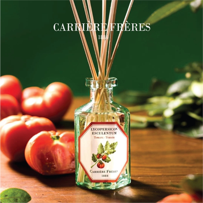 CARRIERE现货法国植物无火扩香