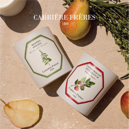 官方授权carriere植物香薰蜡烛