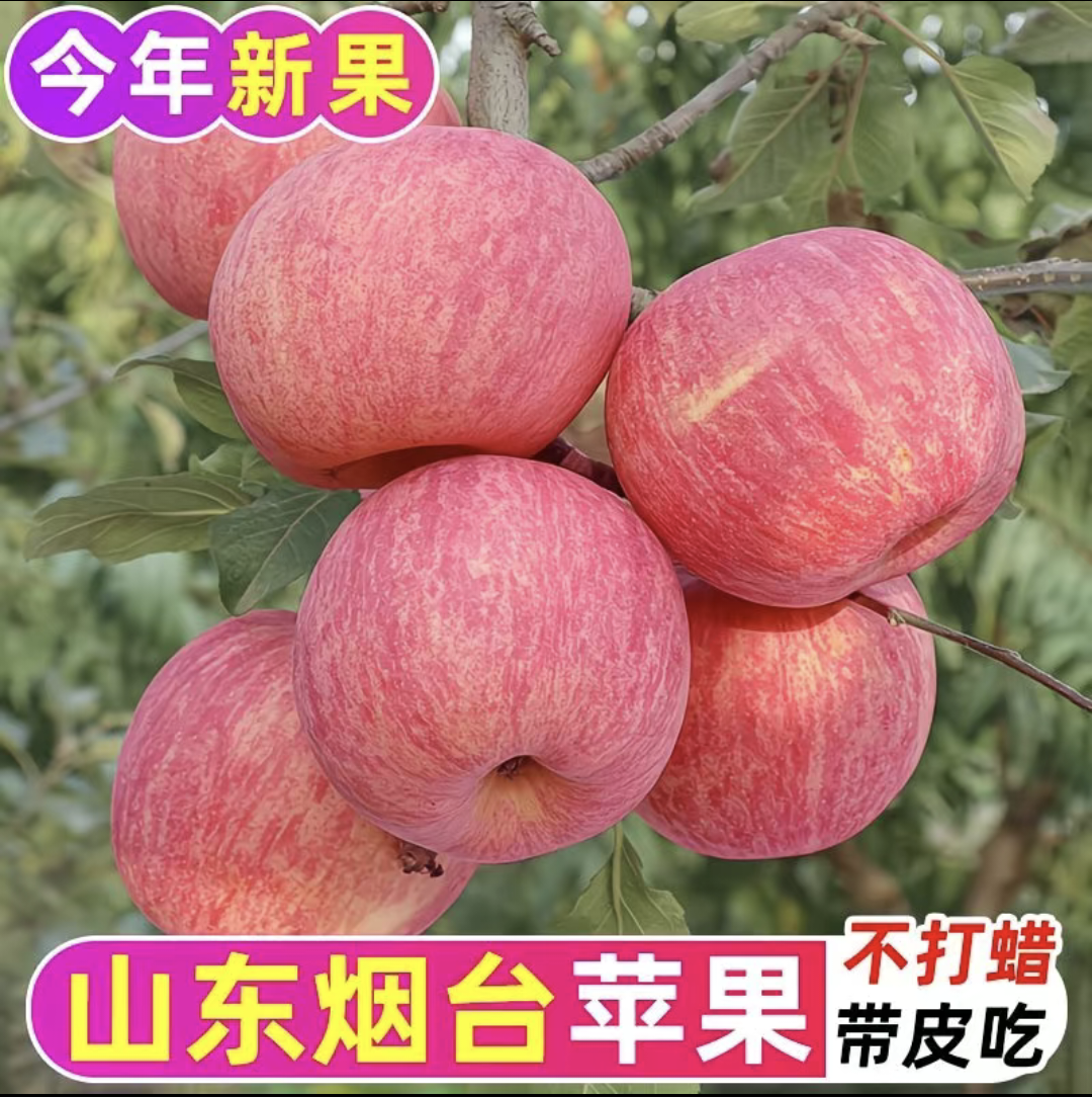 山东烟台红富士苹果新鲜水果当季现摘不打蜡带皮吃冰糖心,水产肉类/新鲜蔬果/熟食,苹果,淘宝优惠券,粉丝福利购,淘宝优惠卷