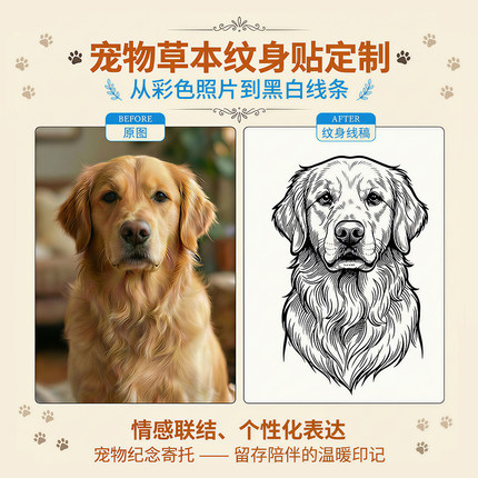 宠物草本纹身贴定制果汁植物图案名字英文防水持久仿真订做