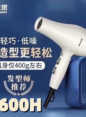 火之凤5600H 电吹风机大功率2400瓦重量轻静音理发店发廊造型风筒