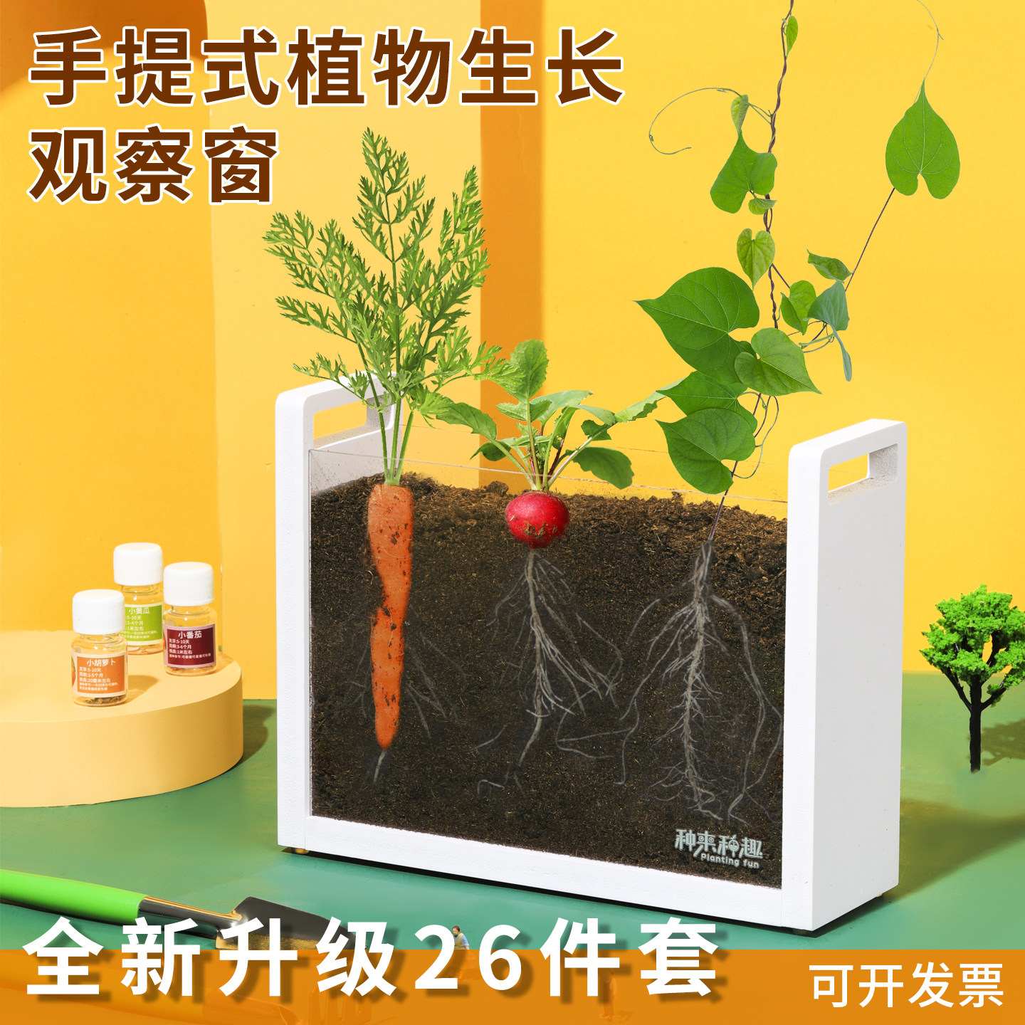儿童植物根系生长观察窗幼儿园种植小盆栽套装DIY手工透明种菜箱