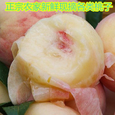 应季现摘红心紫肉红桃水果新鲜血桃水蜜桃子孕妇孩子水食用农产品,传统滋补营养品,其他药食同源食品,淘宝优惠券,粉丝福利购,淘宝优惠卷