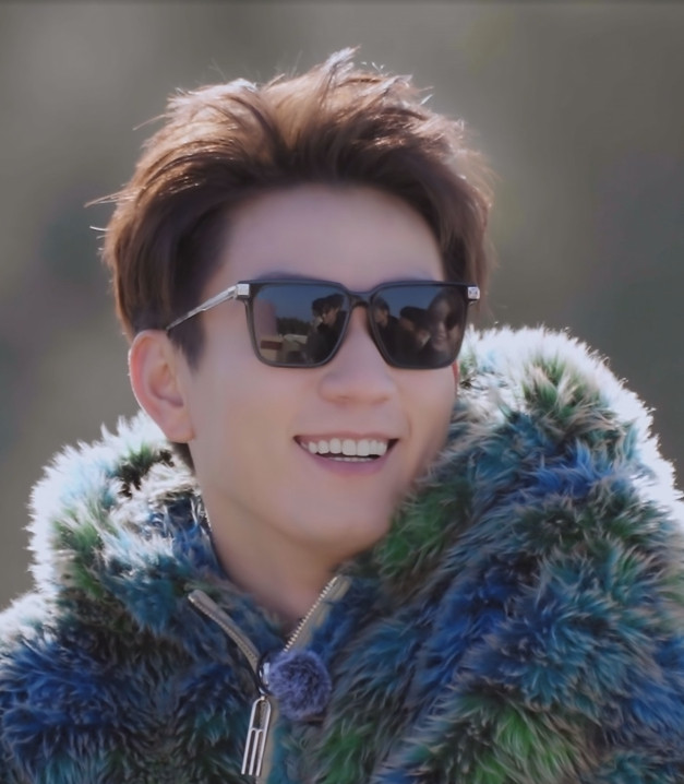 桃花坞王子奇同款欧美男士开车墨镜方形偏光太阳镜司机网红眼镜