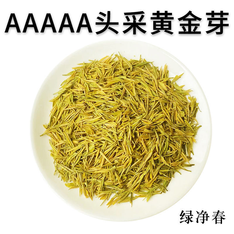 【明前精品黄金芽】2024新茶春茶特级小黄叶豆香黄茶自产自销散装