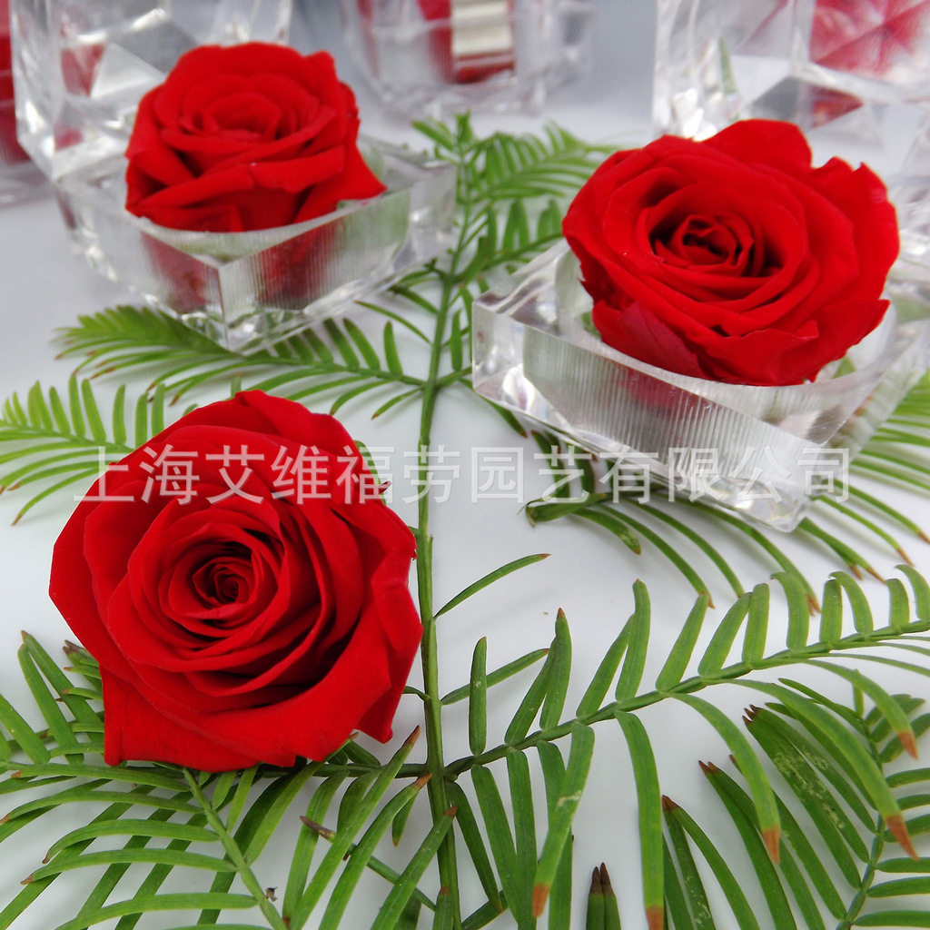 保鲜花技术永生花技术转让永不凋仿真花