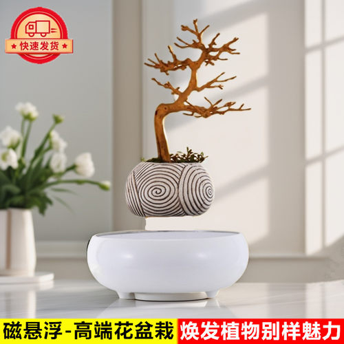反重力磁悬浮花盆情绪稳定办公室桌面摆件花草绿植物盆栽装饰品女