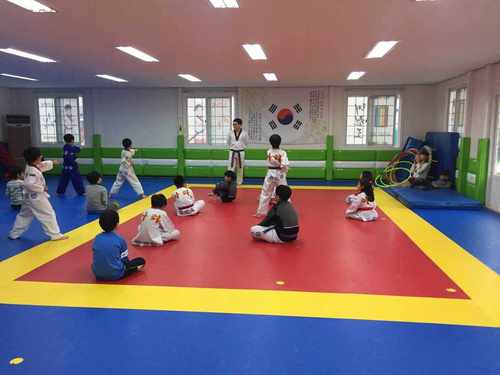 盖单定制拳击台擂台散打比赛标准台式八角笼武术训练围栏综合格斗