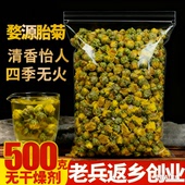 正宗胎菊婺源皇菊500g正品 干花茶另售特级金丝皇菊白杭菊黄山贡菊