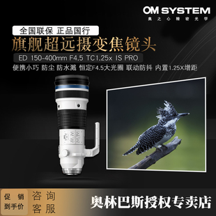 Olympus 400mmF4.5 150 TC1.25X远摄变焦镜头拍鸟 奥林巴斯ED