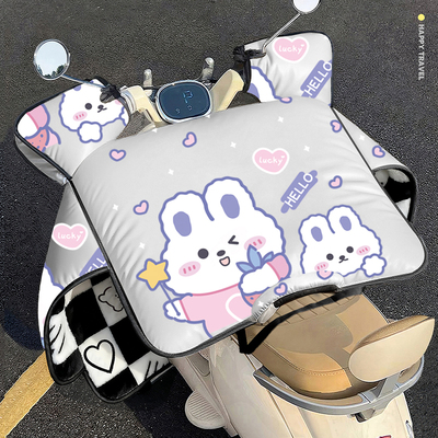 25新款冬天加厚保暖挡风被