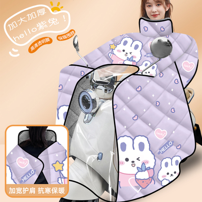 电动车挡风被四季通用2025新款双面防水全包电瓶摩托车冬季防风罩