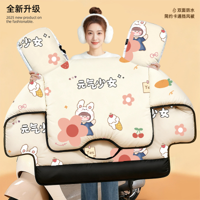 25新款双面防水特厚挡风罩