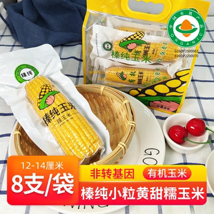 榛纯东北香甜糯玉米棒新鲜粘甜新品有机种植真空包装小粒黄