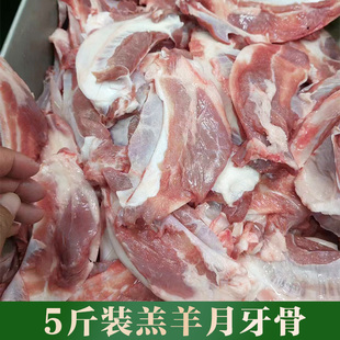 新鲜冷冻羊月牙骨清真食品5斤装 羊脆骨烧烤商用食材羊软骨