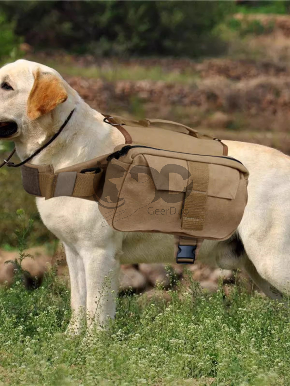 德牧金毛中大型犬狗用战术训练户外背带包狗狗自背包驮包外出便携