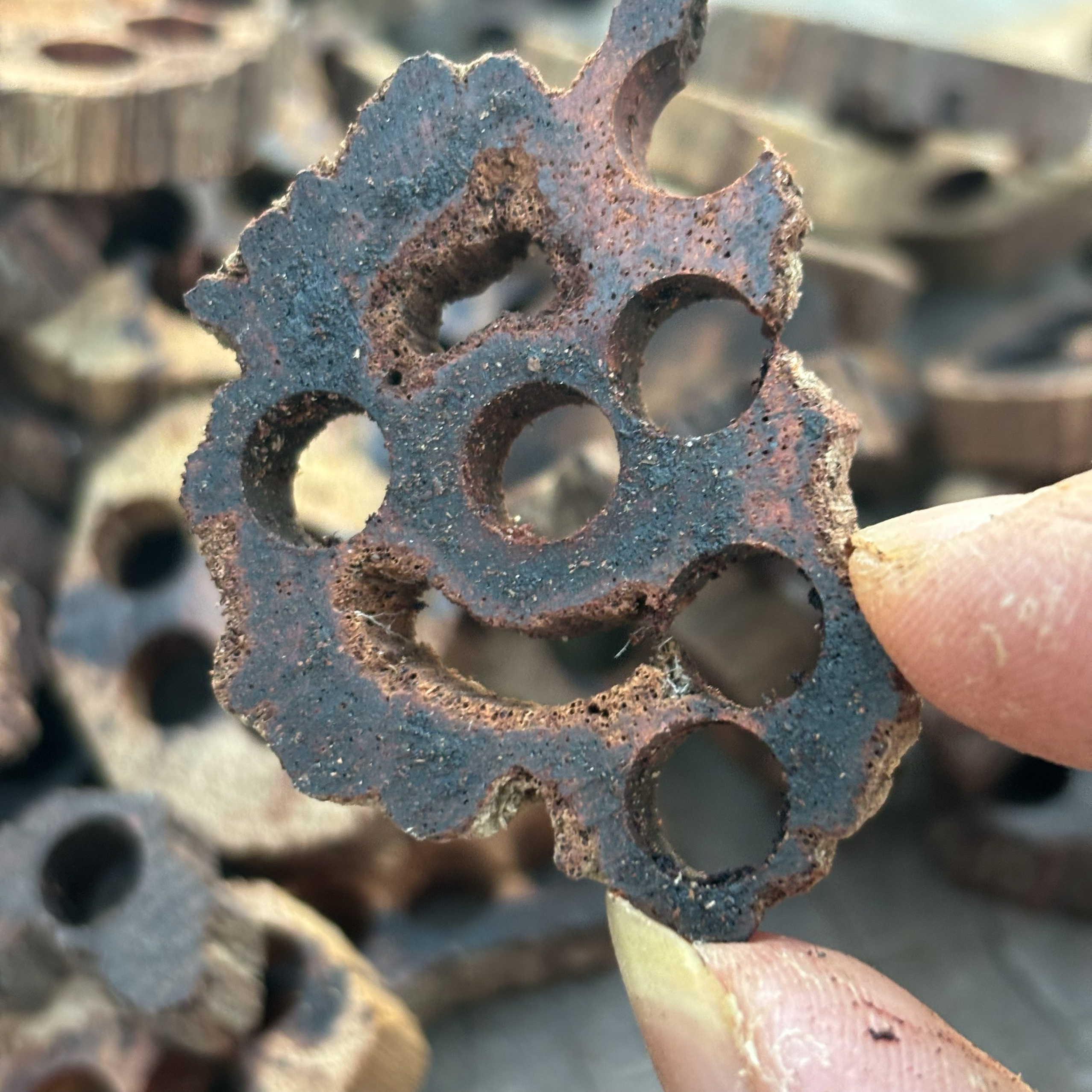 小叶降真香碎料原料椰奶香边角料车珠子余料香薰香料DIY包邮