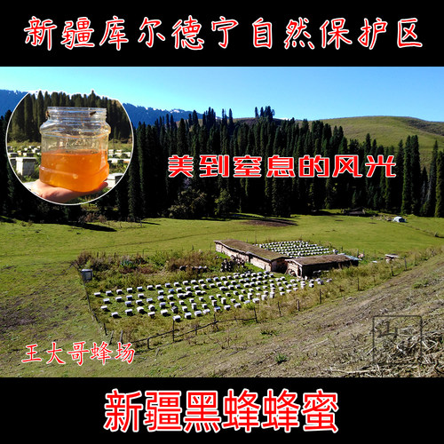 蜂蜜新疆党参农家成熟500g