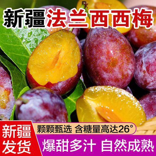 新疆喀什法兰西小西梅当季新鲜水果宝宝辅食辅食整箱4斤顺丰包邮