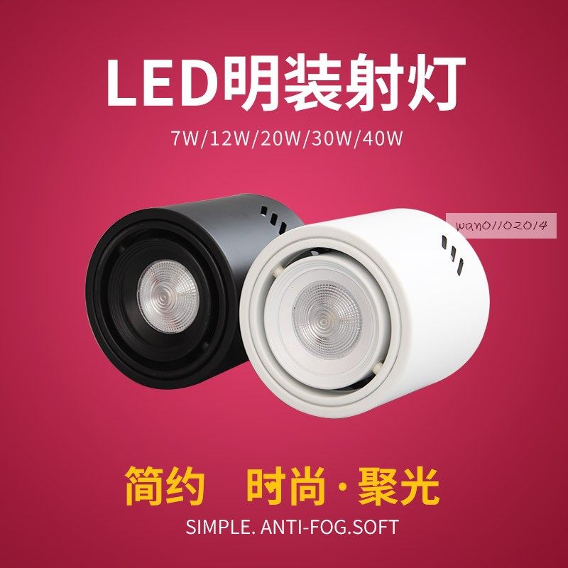 明装圆形led免开孔可调角度射灯