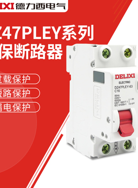 德力西双进双出带漏电保护断路器DZ47PLEY CDB3LE 32A63A空气开关