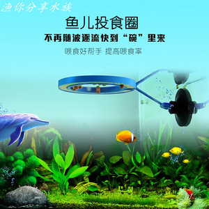 小鱼缸喂食器水族箱投食器喂食圈小型鱼喂食圈投喂鱼食方便