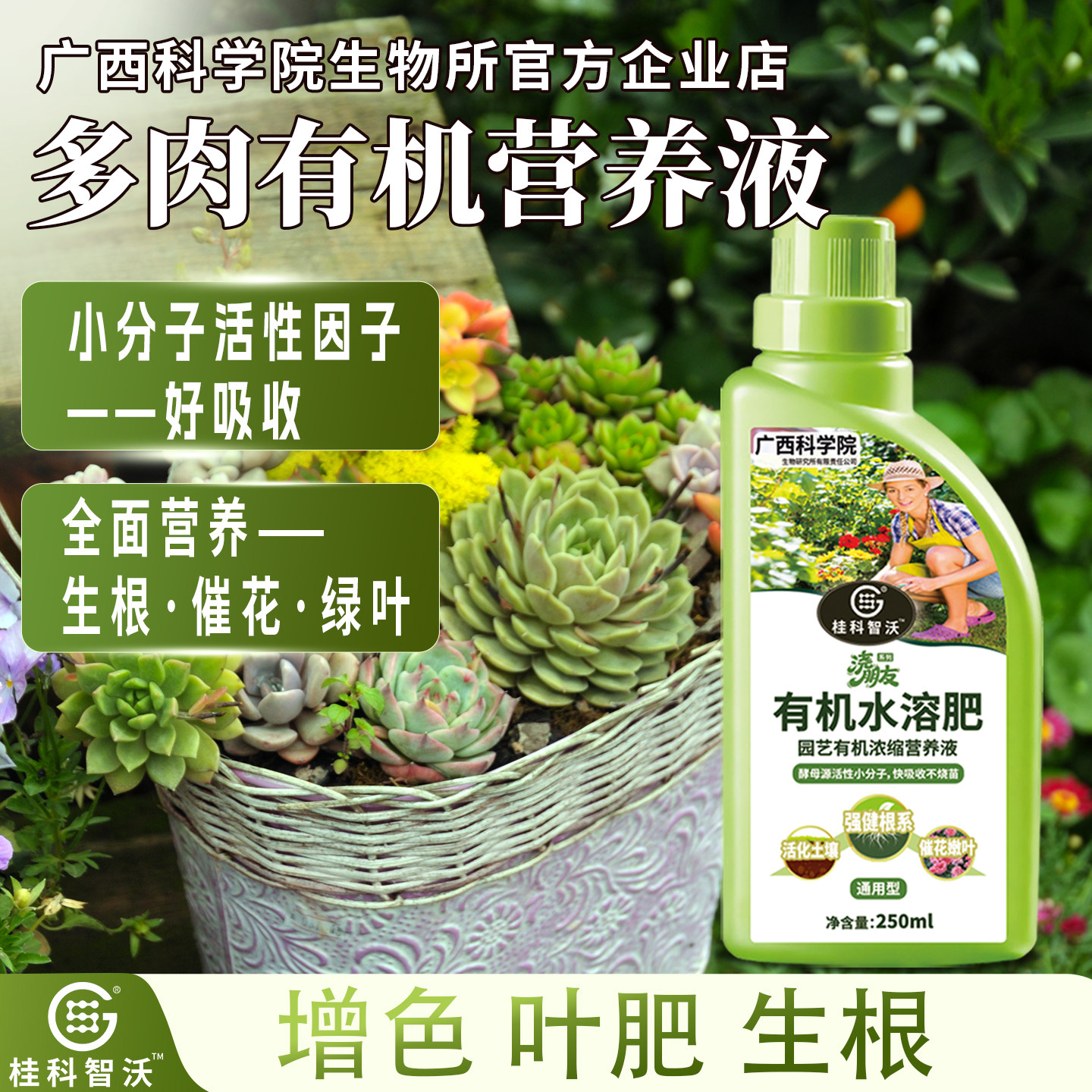 有机营养液通用型多肉植物促花促果盆栽绿植生根壮苗水溶肥有机肥,鲜花速递/花卉仿真/绿植园艺,家庭园艺肥料,淘宝优惠券,粉丝福利购,淘宝优惠卷