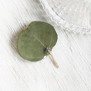 尤加利真树叶，天然圆形小叶子饰品花环永生花材料配饰拍摄发夹