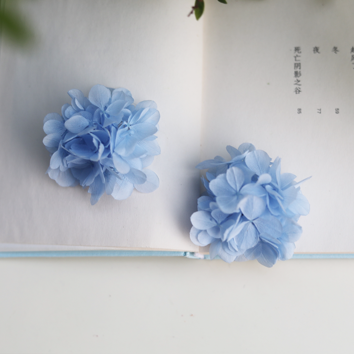 【真实花瓣】永生花保鲜花球度假夸张大花朵婚礼新娘伴郎耳坠耳夹