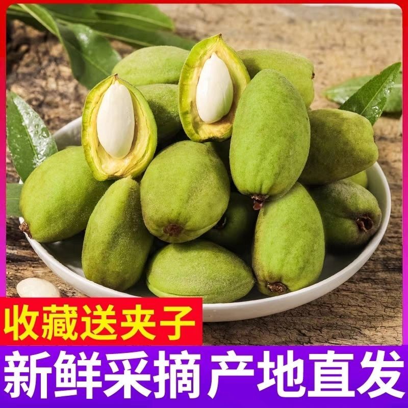 新鲜青皮巴旦木现摘现发美国大杏仁松鼠扁桃鲜桃核带绿壳巴达木