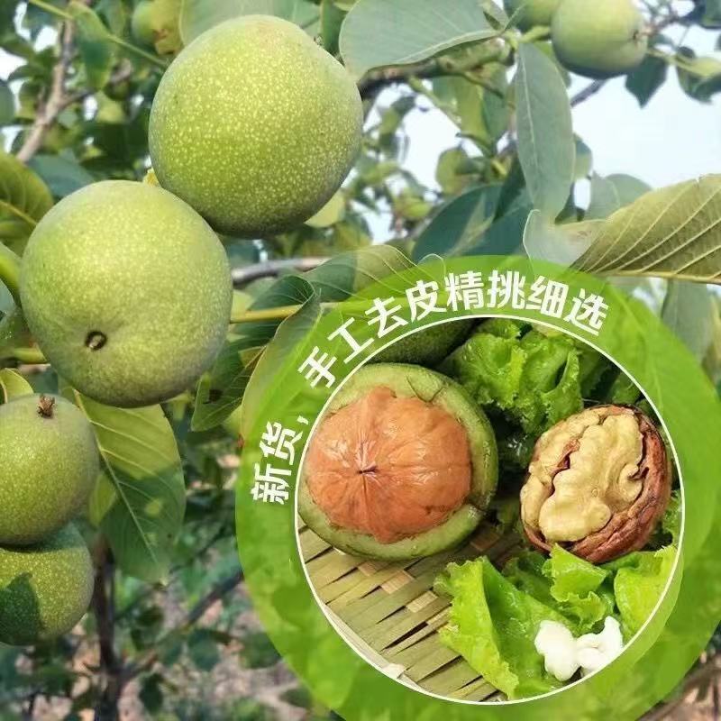 当年五斤装新鲜去青皮湿核桃鲜嫩原味生核桃带青皮孕妇绿皮特级价