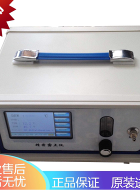 WRX817低露点分析仪PPM露点同时显示数字式测湿仪