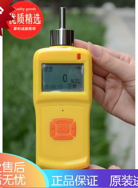泵吸式便携式气体检测仪 可燃气体报警仪