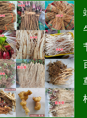 新鲜端午节美食百草根