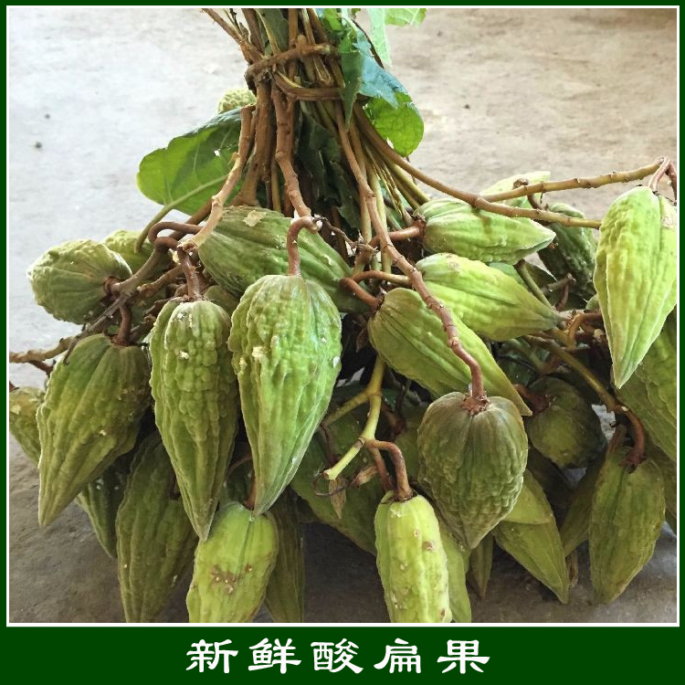 云南特产 野生 新鲜酸扁果一斤  酸爽的味道 青春的怀念 送干粘