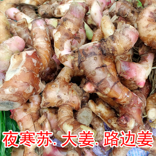 夜寒苏大姜3斤装路边姜夜含苏贵州黔南大姜花草果花土姜老山姜1/5