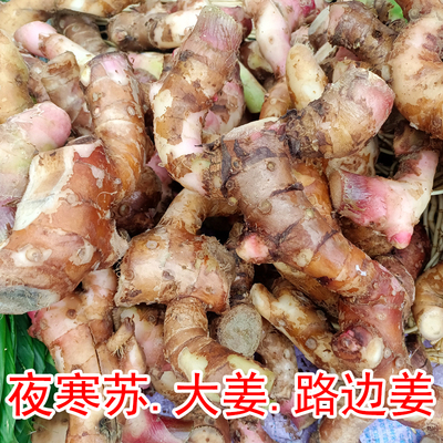 夜寒苏大姜3斤装路边姜夜含苏贵州黔南大姜花草果花土姜老山姜1/5