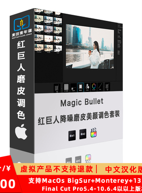 FCPX 红巨人降噪磨皮美颜调色套装/达芬奇AE/PR插件v2023.2.1